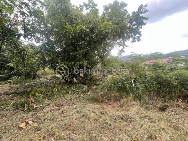 Terrain de 2 033 m²