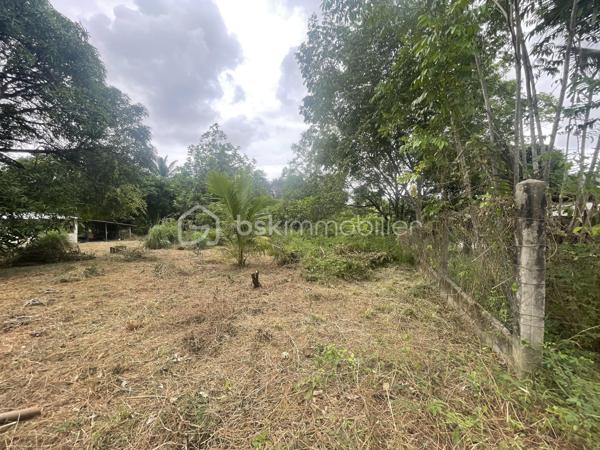 Terrain de 2 033 m²