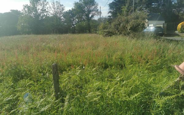 Terrain à vendre    La Turballe