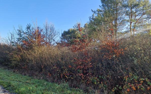 Terrain à vendre    Châtillon-sur-Cher