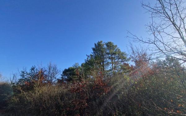 Terrain à vendre    Châtillon-sur-Cher