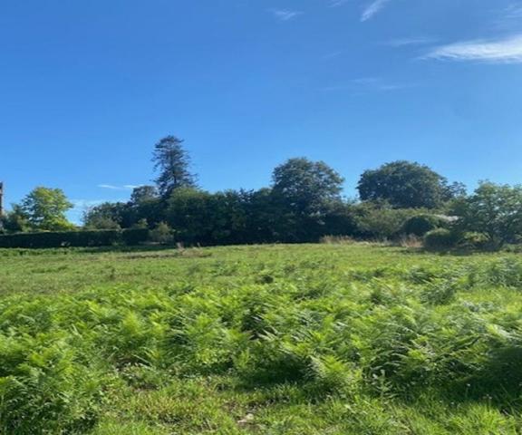 Terrain constructible  450m2 saint Guyomard