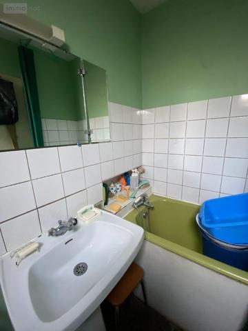 Maison rurale à vendre à Chezelles dans l'Indre (36500), ref : 1050252