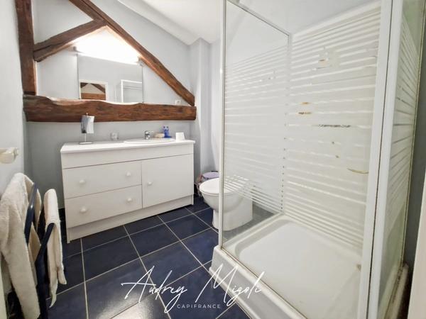 Propriété en pierre 8 pièces, 5 chambres, dépendances, piscine, terrain 7800m²
