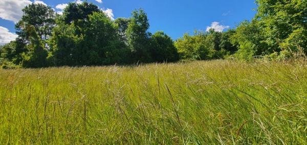 Terrain à bâtir - 1489m²