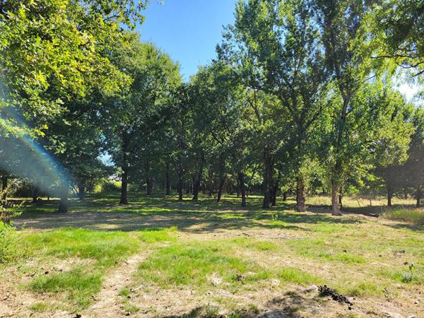 Achat terrain Saint-Étienne-de-Tulmont - 7282 m² - 87 500 €