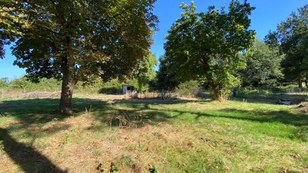 Achat terrain Saint-Étienne-de-Tulmont - 7282 m² - 87 500 €