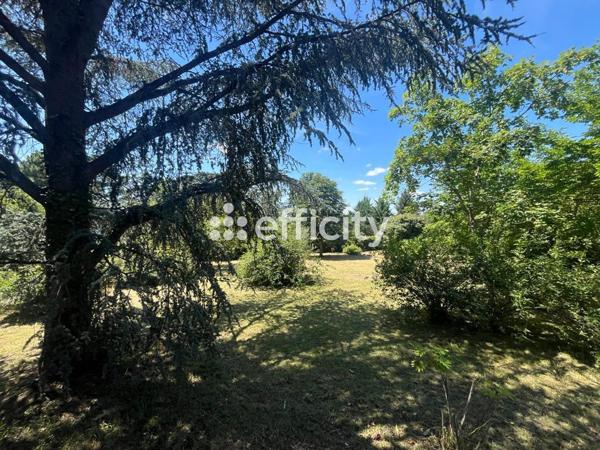 Terrain - 1329 m² Exclusivité efficity