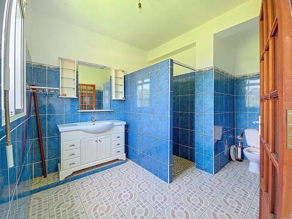 Grand Appartement en Rez-de-Jardin