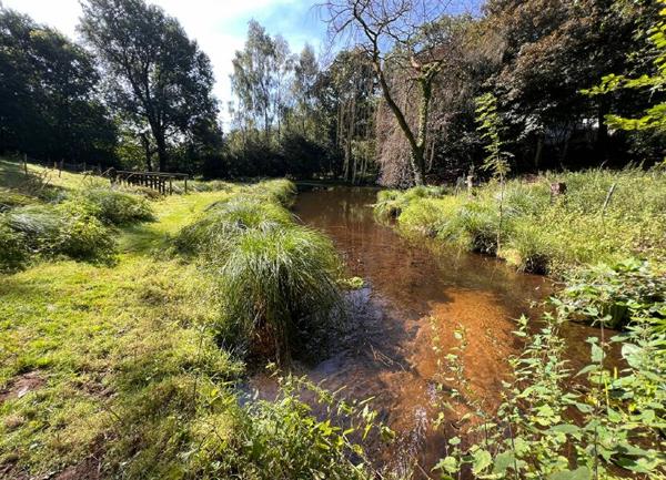 Maison à vendre    6 pièces •  Rostrenen