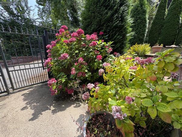 Achat - Maison | Maison de maître Eu 76260 11 pièces 285 m 2 6080 m 2