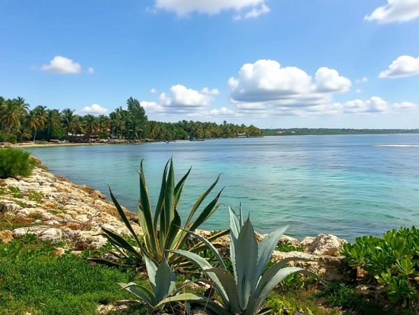 Appartement accès mer, à vendre 2 pièces SAINTE ANNE (971)