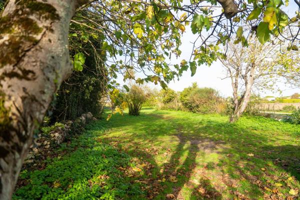 Île de Ré - Loix - Maison de village