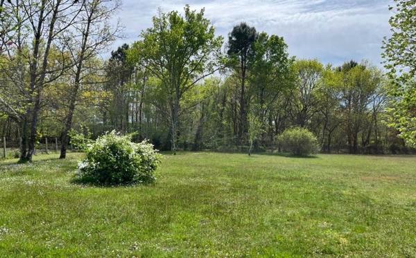 Terrain à vendre |  Gradignan |  1975 m²