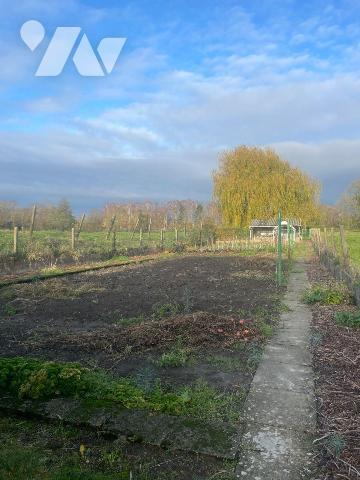 A VENDRE DANS LE NORD - A HOUPLINES (59) - MAISON INDIVIDUELLE avec GRAND JARDIN, ABRI DE JARDI...