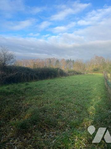 A VENDRE DANS LE NORD - A HOUPLINES (59) - MAISON INDIVIDUELLE avec GRAND JARDIN, ABRI DE JARDI...