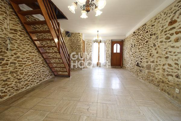 Charme de l'ancien - Briarde avec jardin