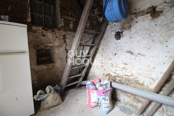 Charme de l'ancien - Briarde avec jardin