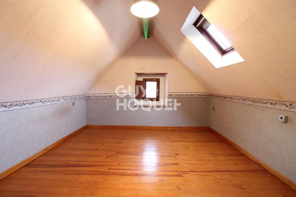 Charme de l'ancien - Briarde avec jardin