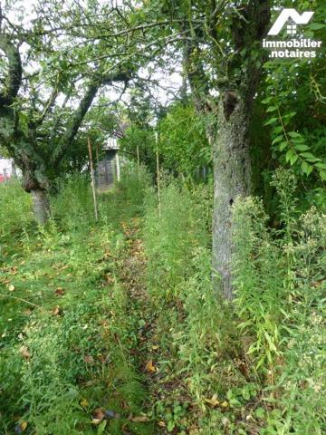 Maison en centre ville