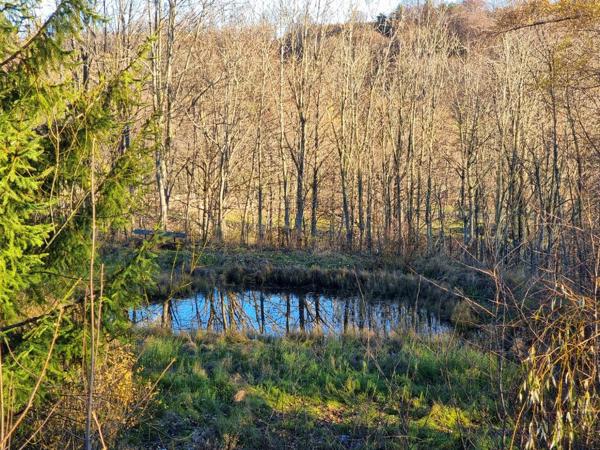 Fonds de commerce Auberge gite Restaurant Haute-Loire