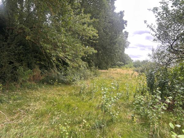 TERRAIN A BATIR - POITIERS BREUIL MINGOT Poitiers (86000)