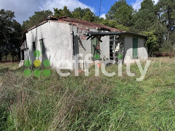 Maison 4 pièces - 98 m²