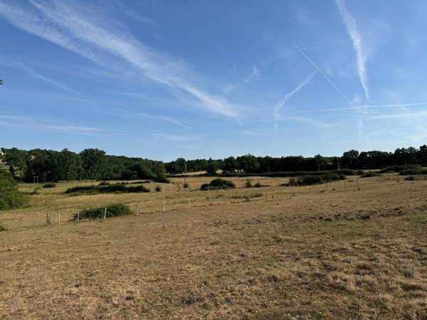 Genouillac (Terre de haute Charente). Propriété rurale sur 19 hectares