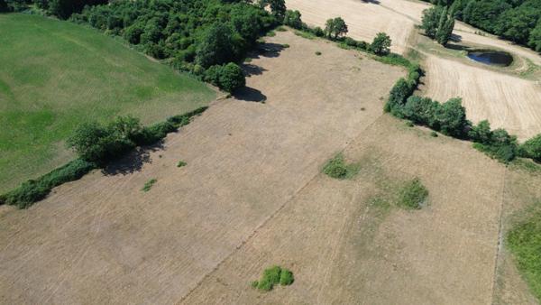 Genouillac (Terre de haute Charente). Propriété rurale sur 19 hectares