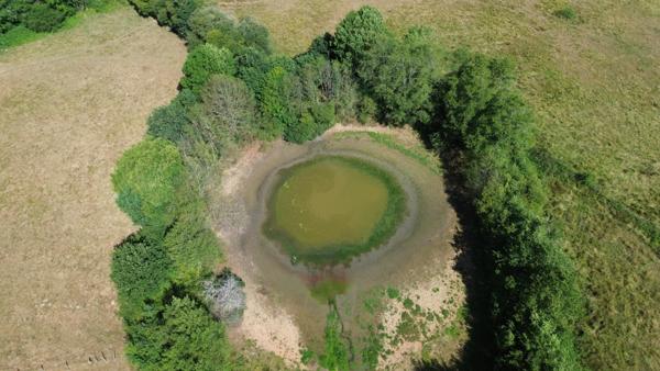 Genouillac (Terre de haute Charente). Propriété rurale sur 19 hectares