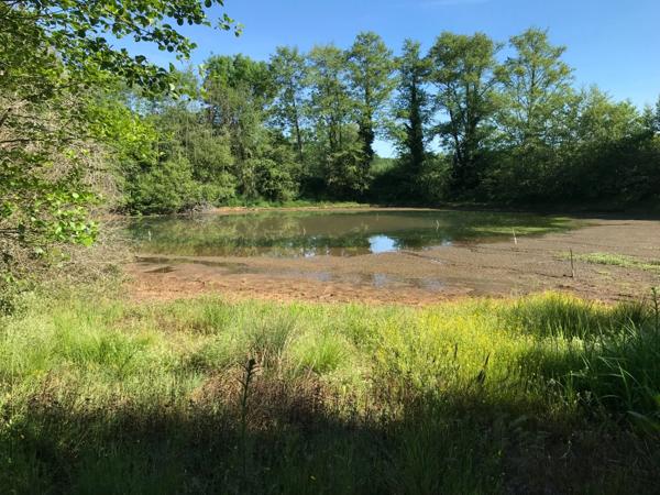 Genouillac (Terre de haute Charente). Propriété rurale sur 19 hectares