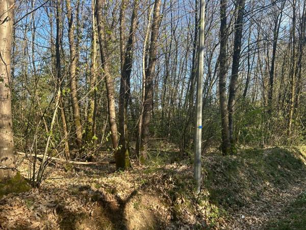 Terrain à vendre  LE VIEIL BAUGE (49)