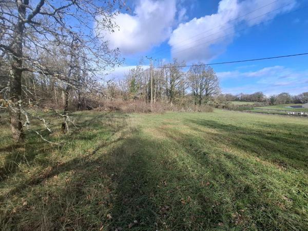 Terrain à Batir à vendre à Nadaillac en Dordogne (24590), ref : 18113/152