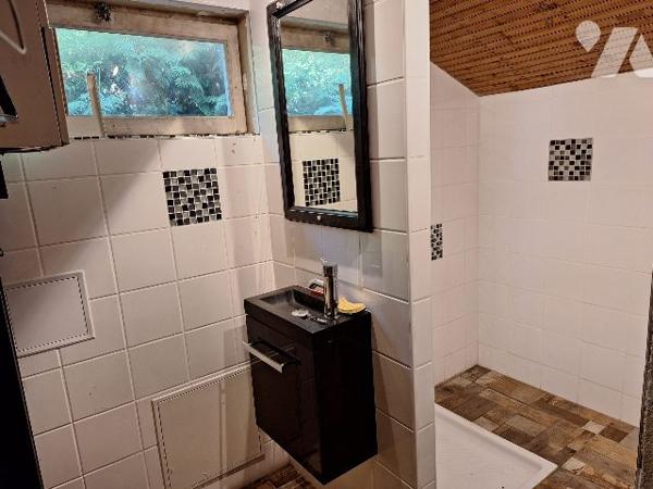 Maison et maison d'amis avec étang 1ha, Clémont