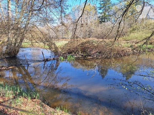 Maison et maison d'amis avec étang 1ha, Clémont