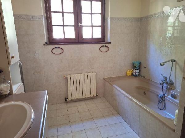 Maison et maison d'amis avec étang 1ha, Clémont