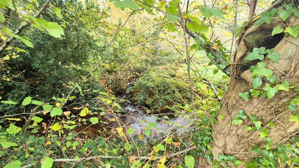 Saint-Yvi (29140) SAINT YVI Maison de caractère sur 1319 m²