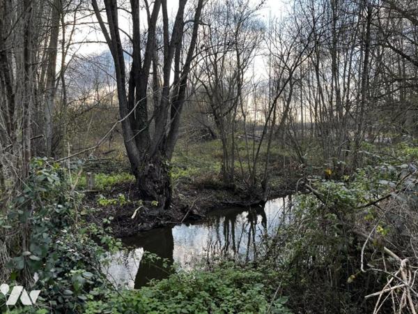 SAINT HILAIRE LA PALUD, Grange à rénover avec acces a une conche