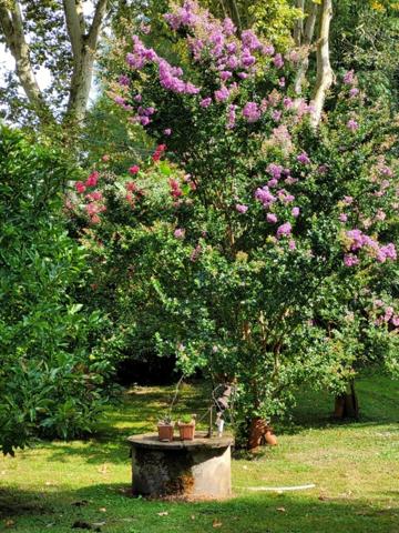 Maison à vendre 3 pièces LABASTIDE D'ARMAGNAC (40)