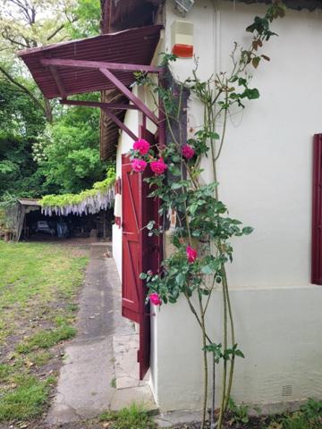 Maison à vendre 3 pièces LABASTIDE D'ARMAGNAC (40)