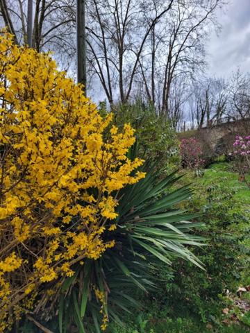 Maison à vendre 3 pièces LABASTIDE D'ARMAGNAC (40)