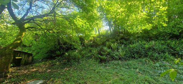 Maison à vendre 3 pièces LABASTIDE D'ARMAGNAC (40)