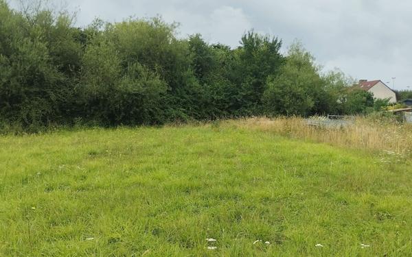 Terrain à vendre    Merville