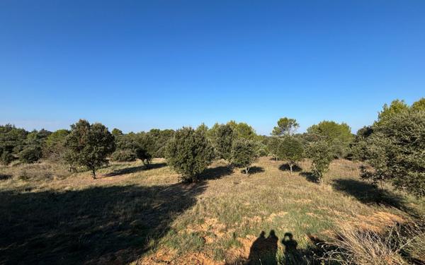 Terrain à vendre    Cabrières