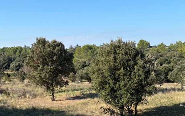 Terrain à vendre    Cabrières