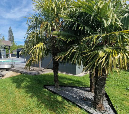 Propriété contemporaine d'exception avec piscine, pool-house, jacuzzi et appartement indépendant  - Saint-Vit.