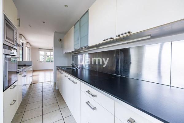 Penthouse 6 pieces - dernier etage terrasse avec vue marne