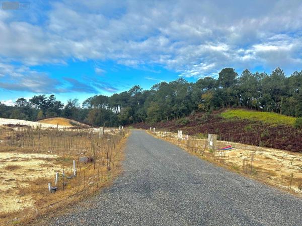 Terrain à Batir à vendre à Labenne dans les Landes (40530), ref : 1205905/594