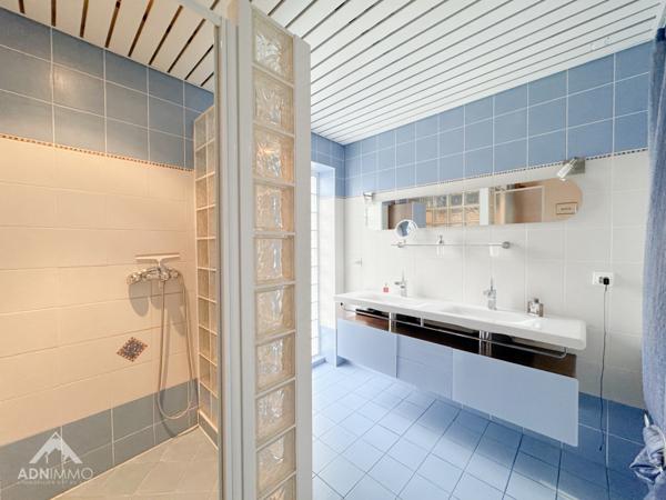 Pougny (01550) Maison 9 Pièces 245 m2