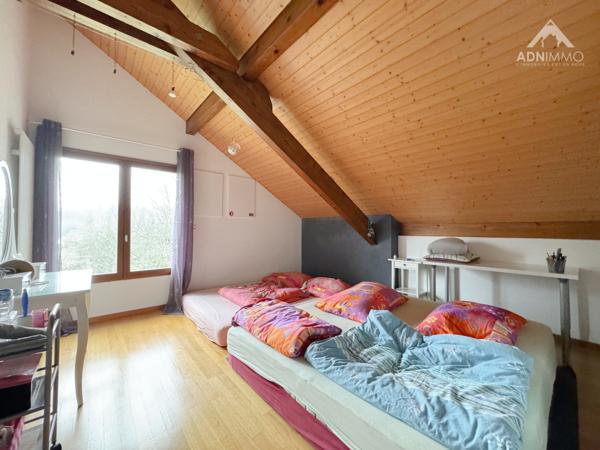 Pougny (01550) Maison 9 Pièces 245 m2